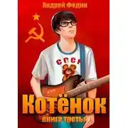 Постер книги Котенок. Книга 3