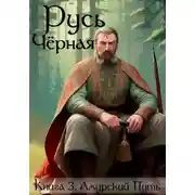Постер книги Амурский Путь