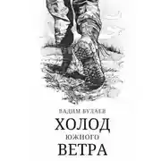 Постер книги Холод южного ветра