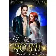 Постер книги Не бойся ночи, там есть Я