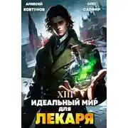 Постер книги Идеальный мир для Лекаря 13