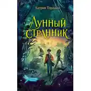 Постер книги Лунный странник