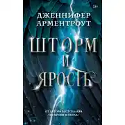 Постер книги Шторм и ярость