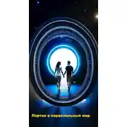 Постер книги Портал в параллельный мир
