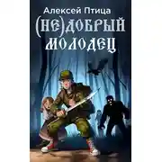 Постер книги (Не)добрый молодец