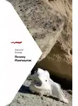 Алексей Рачунь - Почему Мангышлак