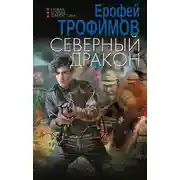 Постер книги Северный дракон