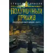 Постер книги Полуночный прилив