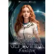 Постер книги Последняя землянка в подарок