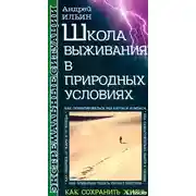 Постер книги Школа выживания в природных условиях