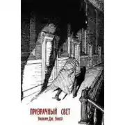 Постер книги Призрачный свет