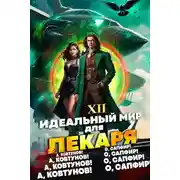 Постер книги Идеальный мир для Лекаря 12