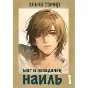 Постер книги Наиль. Маг и попаданец