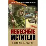 Постер книги Небесные мстители