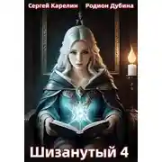 Постер книги Шизанутый 4
