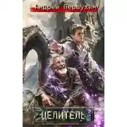 Постер книги Целитель
