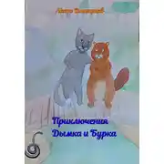 Постер книги Приключения Дымка и Бурка