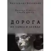 Постер книги Дорога из пепла и стекла
