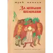Постер книги За лесными шеломами