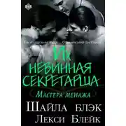 Постер книги Их невинная секретарша