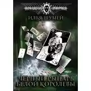 Постер книги Черный рыцарь Белой королевы