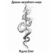 Постер книги Дракон загробного мира