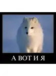 Ногицуне - Мир новый проблемы старые. И главная - выжить