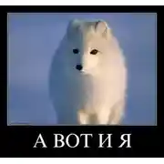 Постер книги Мир новый проблемы старые. И главная - выжить