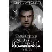 Постер книги Отблески в зеркалах