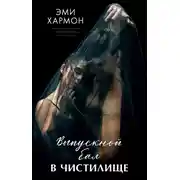 Постер книги Выпускной бал в чистилище