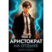 Постер книги Аристократ на отдыхе. Том 2