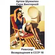 Постер книги Ревизор: возвращение в СССР 18