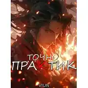 Постер книги Точно практик 4