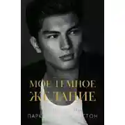 Постер книги Мое темное желание
