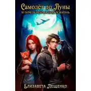 Постер книги Самолёт до Луны и почти нормальная жизнь