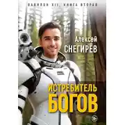 Постер книги Истребитель богов