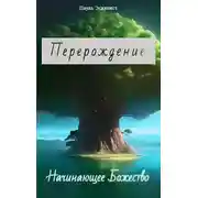 Постер книги Начинающее Божество