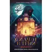 Постер книги Силуэт в тени