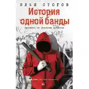 Постер книги История одной банды