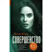 Постер книги Совершенство