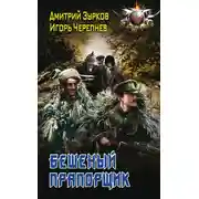 Постер книги Бешеный прапорщик