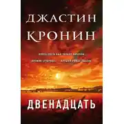 Постер книги Двенадцать