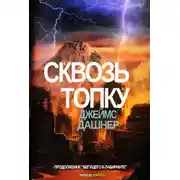 Постер книги Сквозь Топку