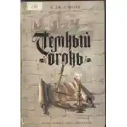 Постер книги Темный огонь