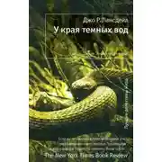 Постер книги У края темных вод