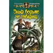 Постер книги Эльф ведьме не товарищ