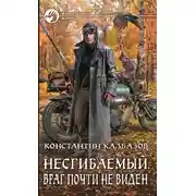 Постер книги Враг почти не виден