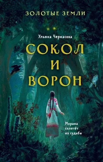 Постер книги Сокол и Ворон