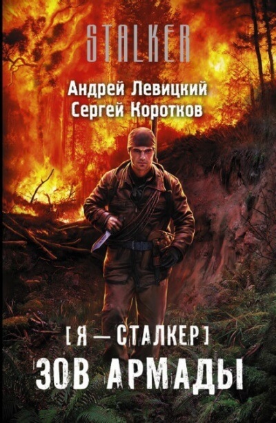 Постер книги Зов Армады