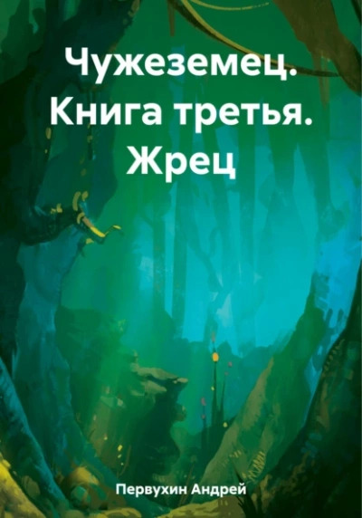 Постер книги Жрец